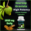 Soursop-graviola-capsules